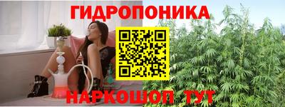 прущие грибы Аргун