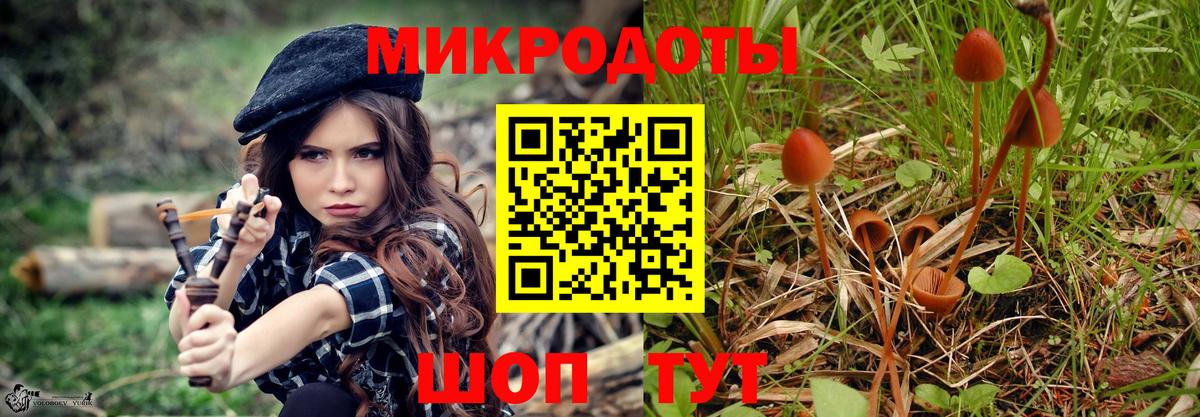Галлюциногенные грибы MAGIC MUSHROOMS  хочу наркоту  Берёзовский  Вход с VPN 